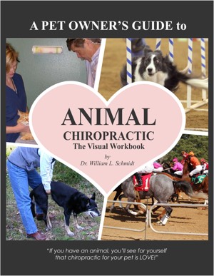 2018 edition animal chiropractic visual workbook front cover