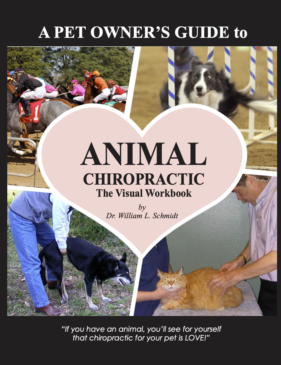 2018 edition animal chiropractic visual workbook front cover